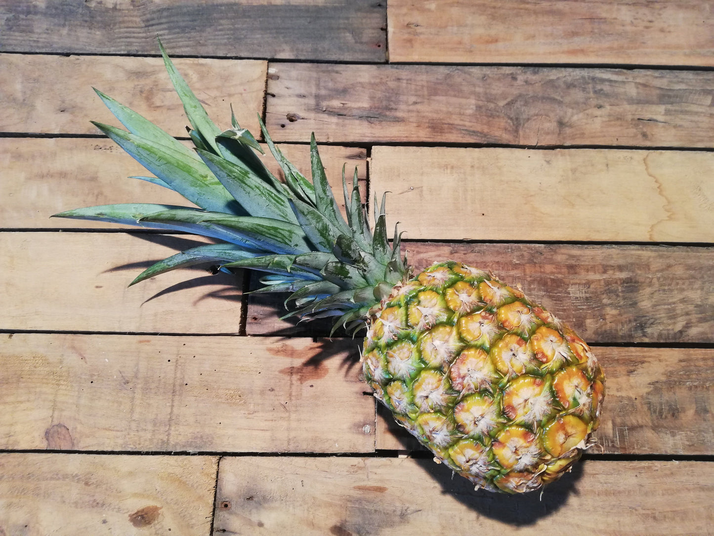 Ananas Victoria La Réunion  (pièce)