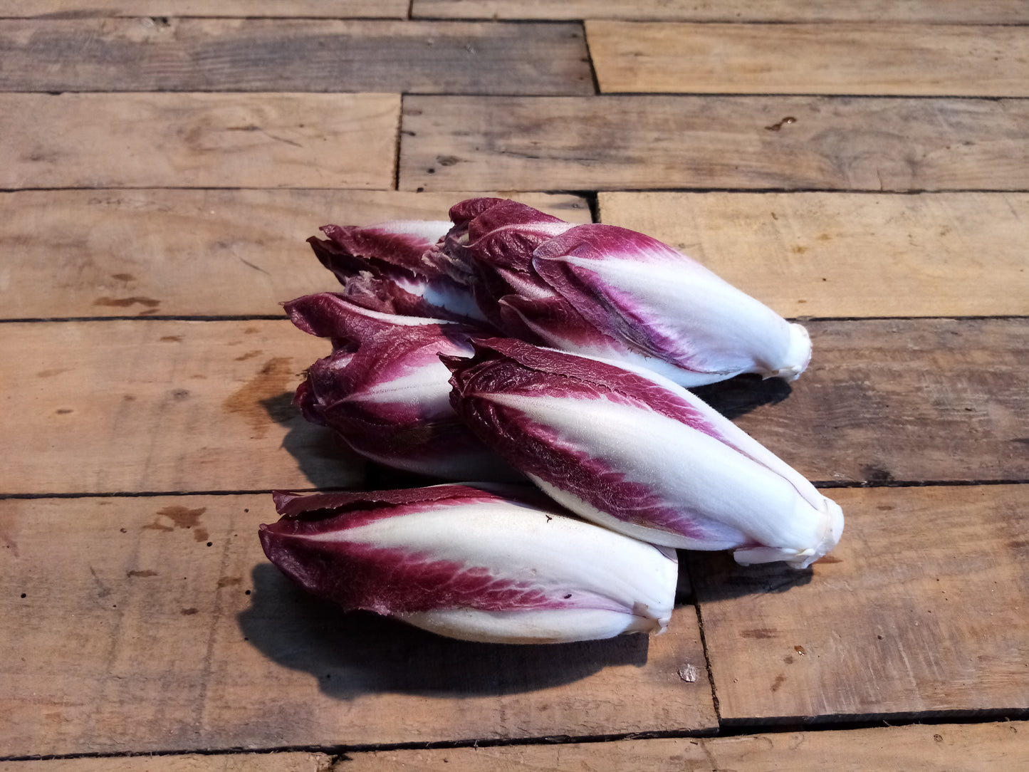 Endive rouge (500g)